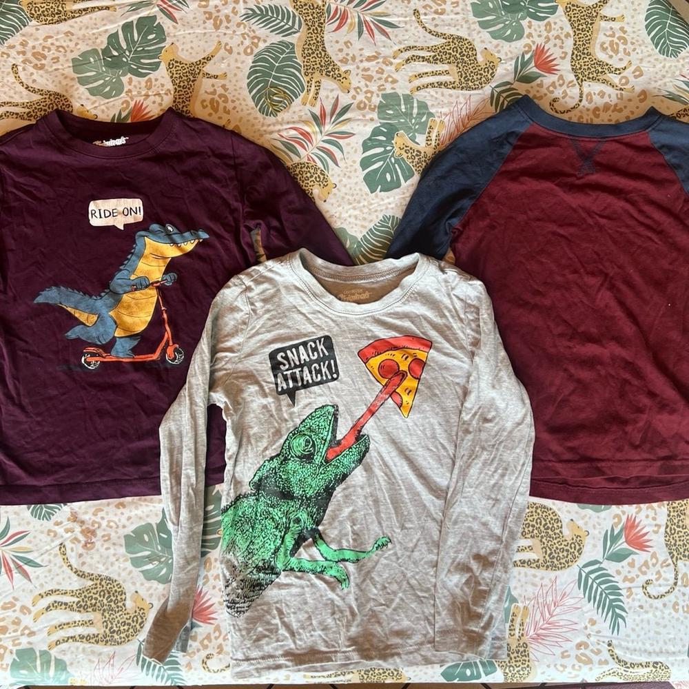 boys long sleeve bundle size 5